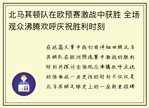 北马其顿队在欧预赛激战中获胜 全场观众沸腾欢呼庆祝胜利时刻