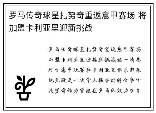 罗马传奇球星扎努奇重返意甲赛场 将加盟卡利亚里迎新挑战